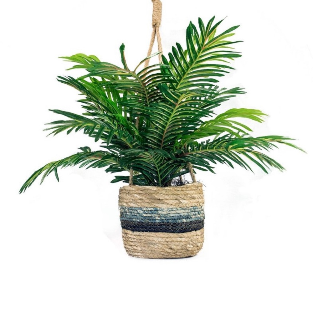 Target Faux Palm in Woven Basket